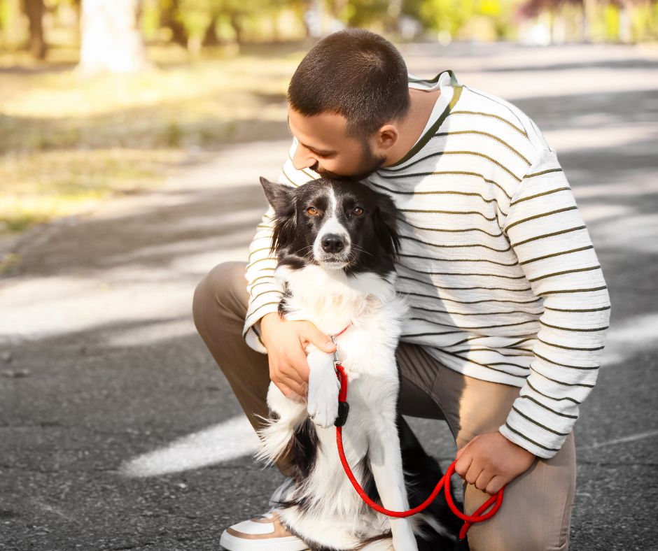¿Por qué el perro es el mejor amigo del hombre? el mejor amigo del hombre