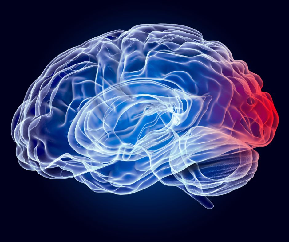 Neurocopywriting: qué es y cómo usarlo para vender más con tus textos neurocopywriting
