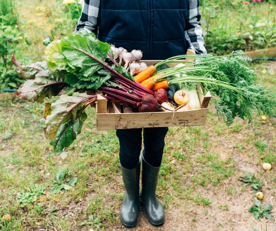 Tiendas de productos ecológicos: qué debes buscar para comprar con más confianza tiendas de productos ecológicos